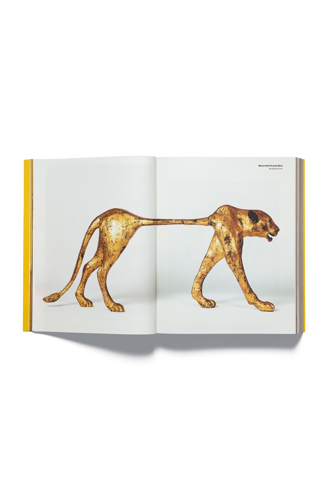 Acne Paper Issue 20 | Golden